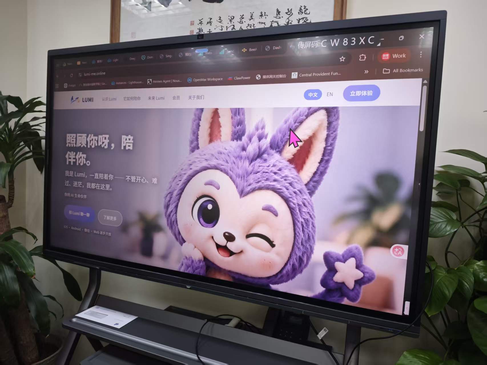 Lumi 学员网站展示 / Lumi student website showcase