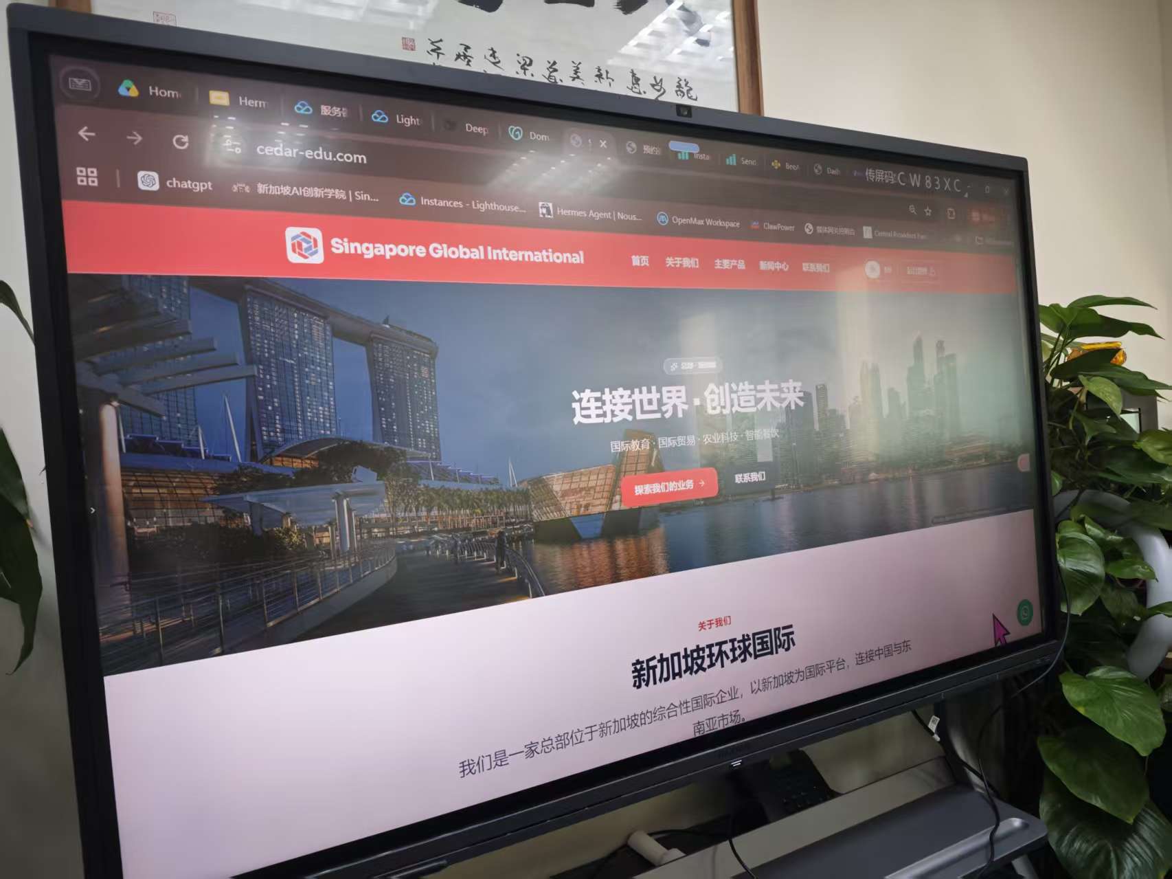 cedar-edu.com 学员网站展示 / cedar-edu.com student website showcase