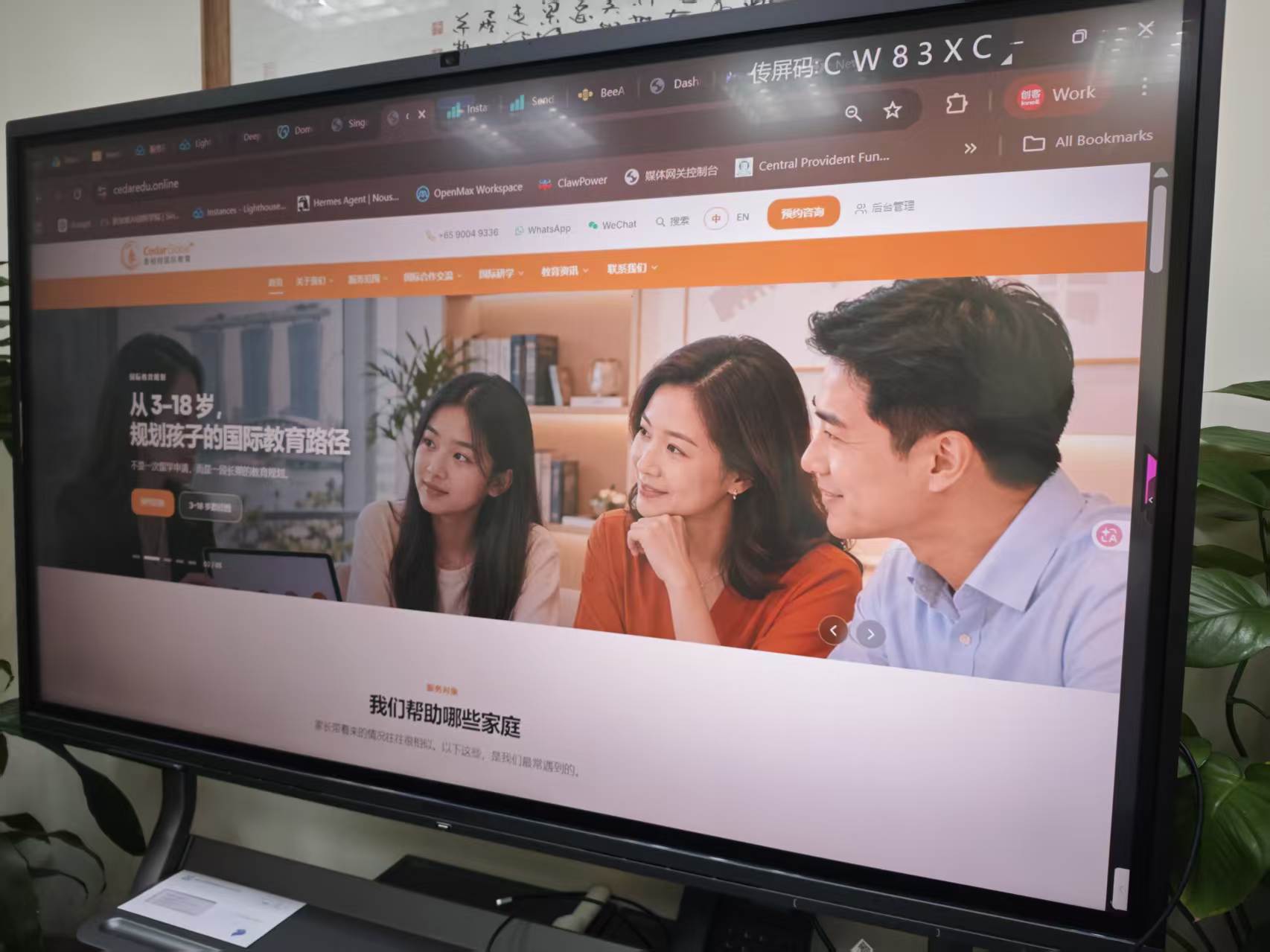 cedaredu.online 学员网站展示 / cedaredu.online student website showcase
